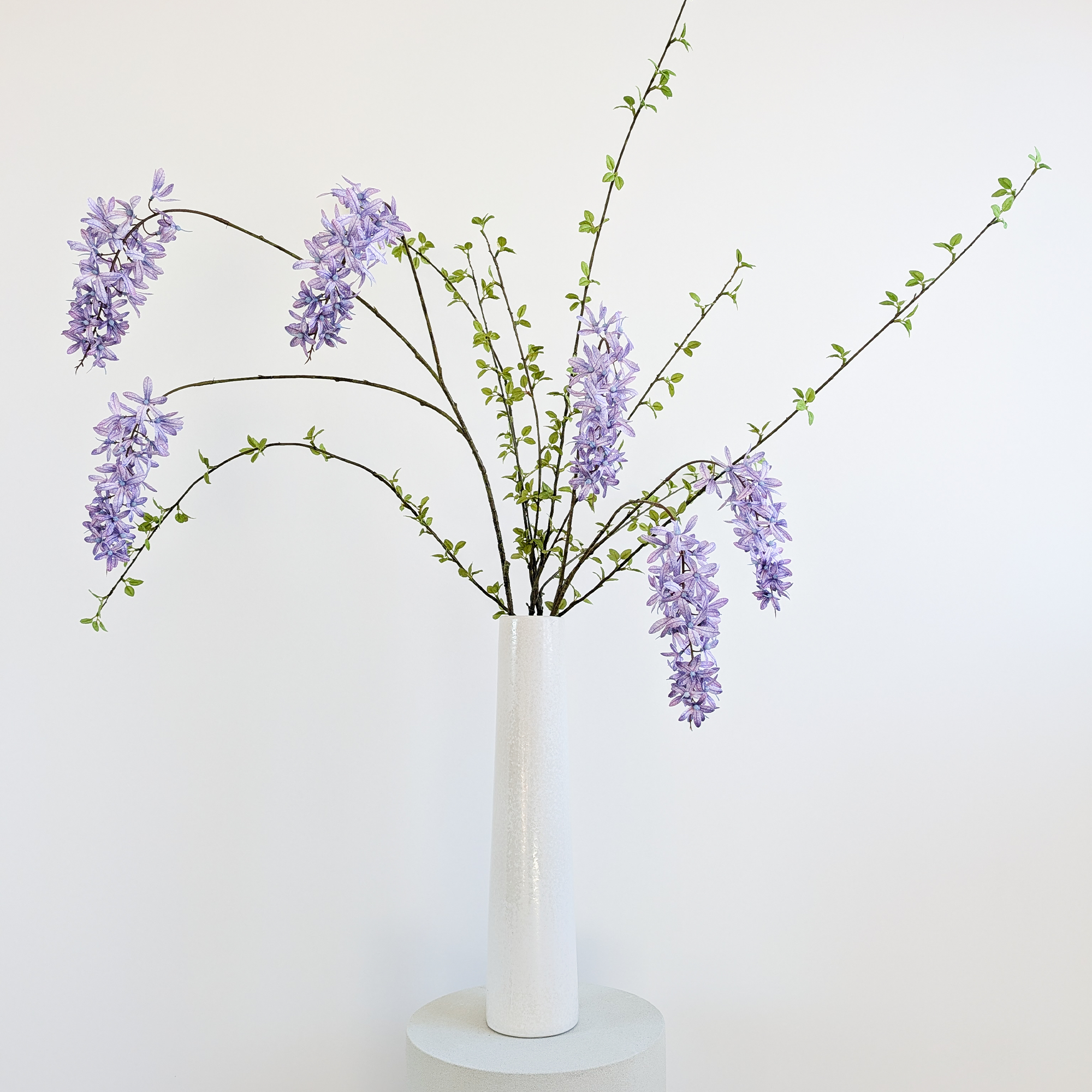 Wisteria Purple & Amelanchier Duo