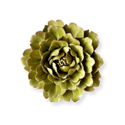 Peridot Comanche Peony