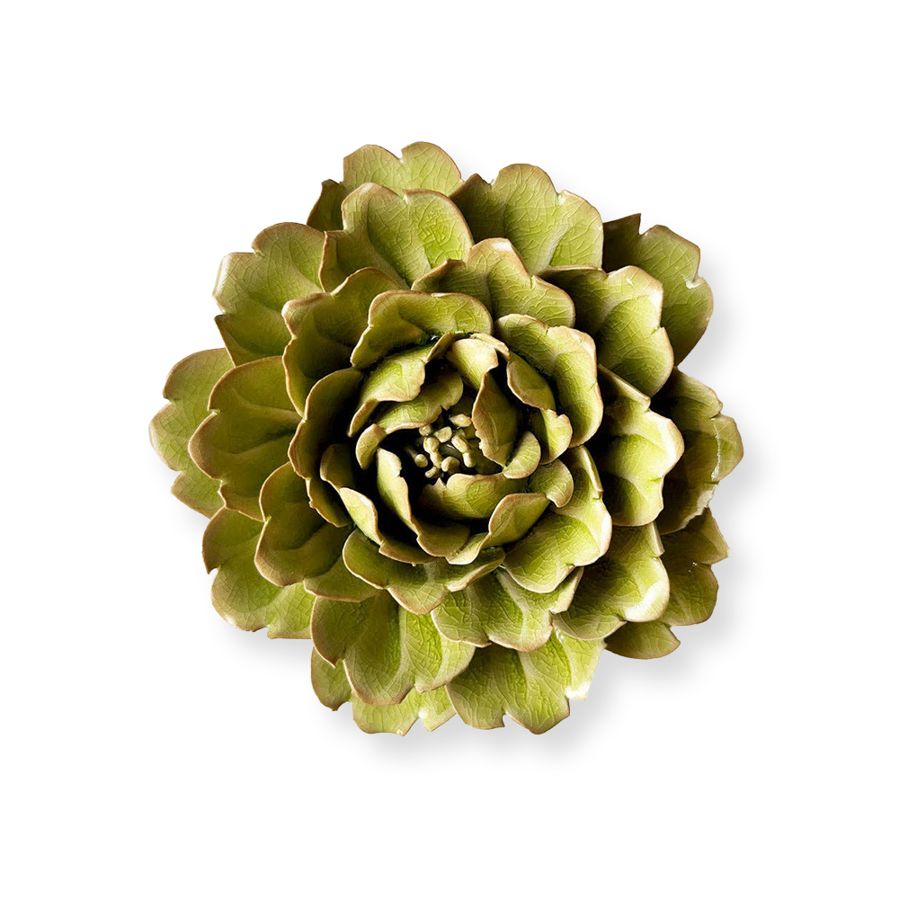 Peridot Comanche Peony